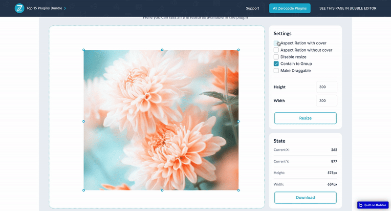 Resizable Images Plugin for Bubble preview