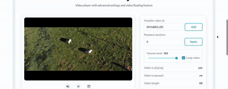 YouTube Video Player Pro Plugin for Bubble preview