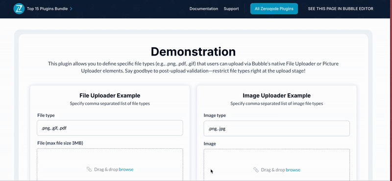 Limit File Types File Uploader Plugin for Bubble preview