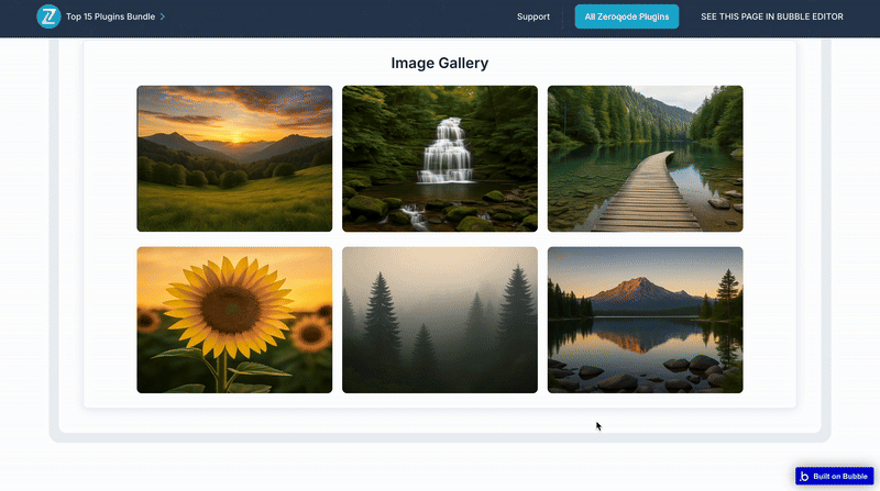 Simple Image Zoom On Click Plugin for Bubble preview
