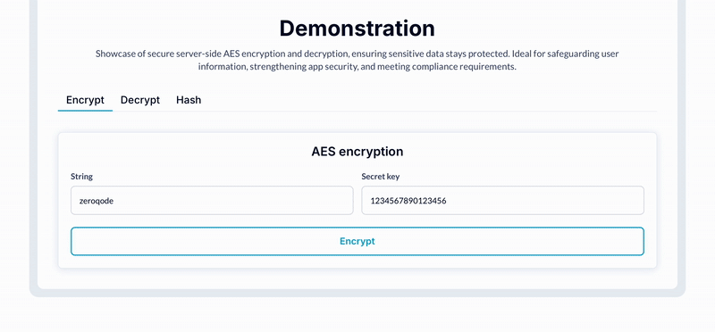 Secure AES Data Encrypt Decrypt Plugin for Bubble preview
